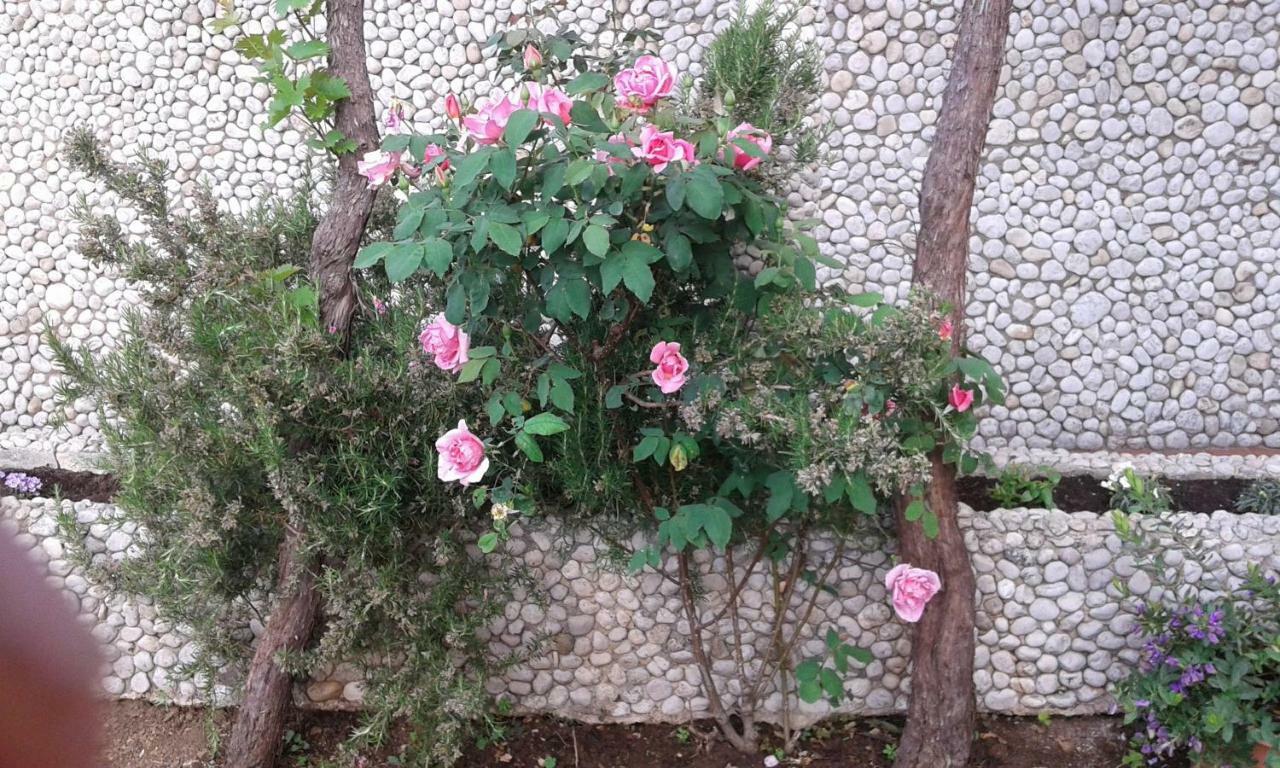 Apartment Dubcic: For Perfect Vacation ดูบรอฟนิก ภายนอก รูปภาพ